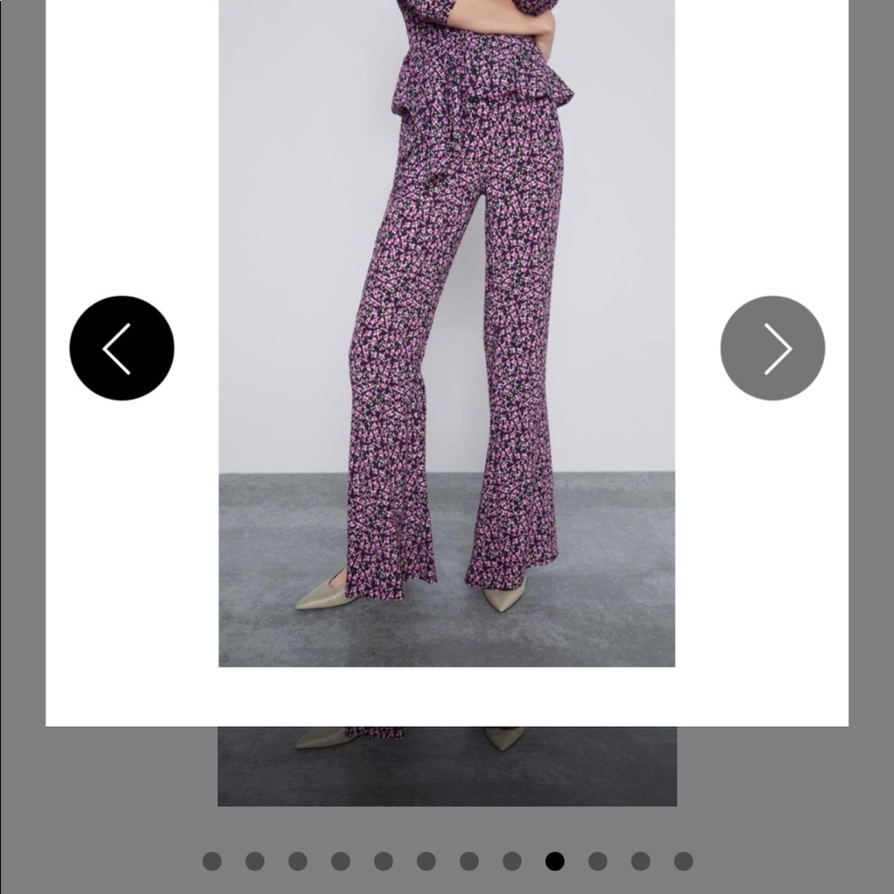 Zara Pants